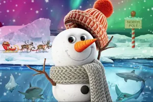 Snowy