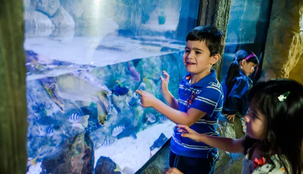 7799 Sealife 205