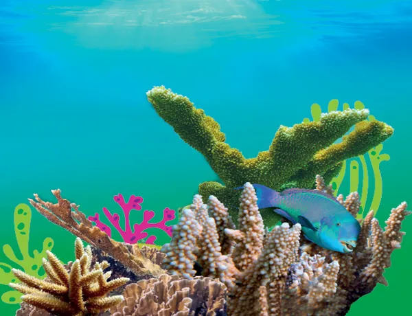 Reef Rescuers