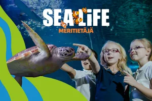 SEALIFE Schools CRM TOPPER 1 Tytöt